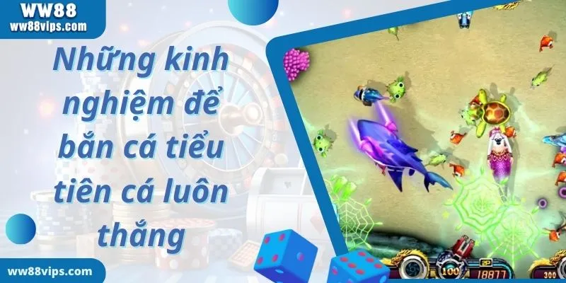 Giới thiệu trò chơi bắn cá tiểu tiên cá online